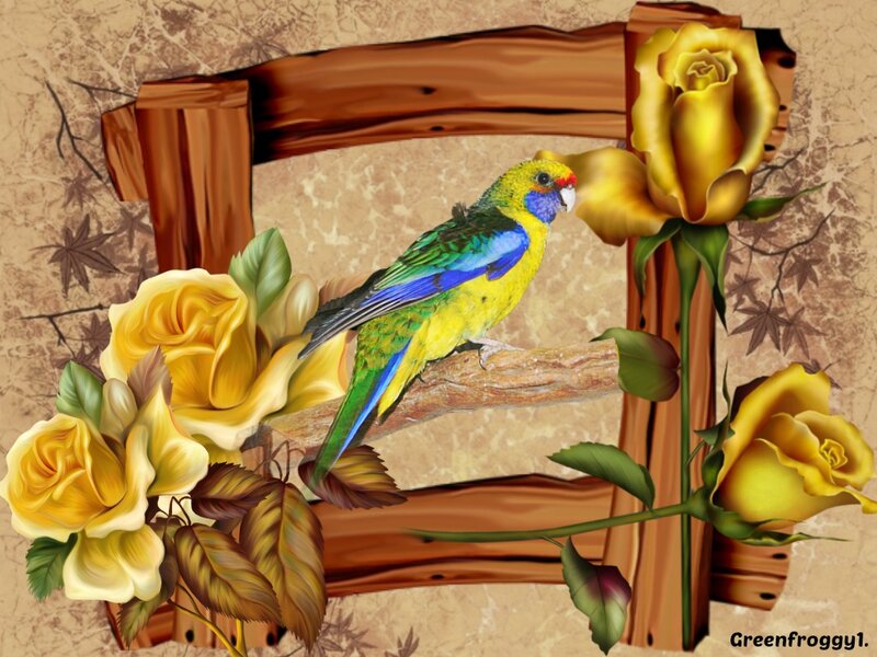 Colorful Parrot on Branch — Yellow, Serene