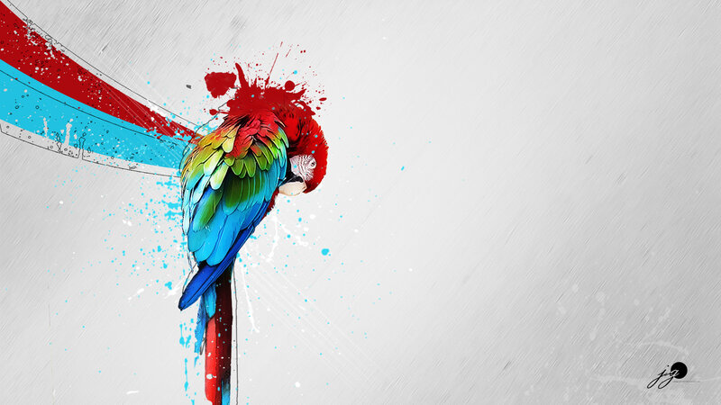 Colorful Parrot on Pole