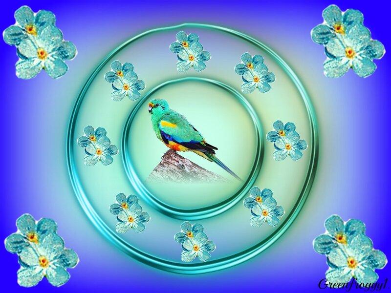 Colorful Parrot on Rock