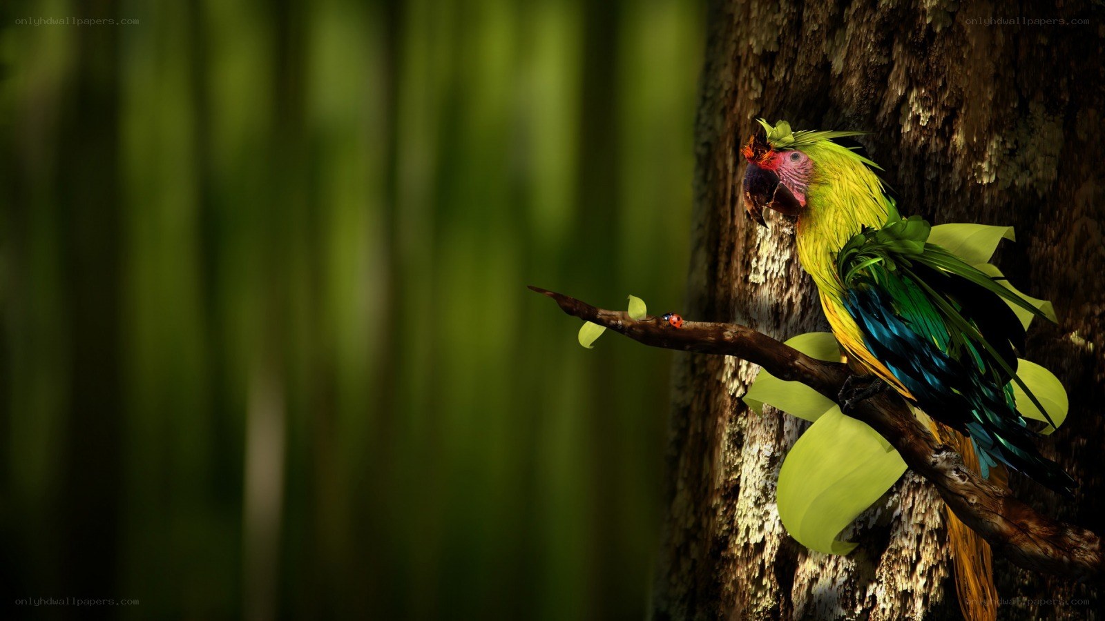 colorful parrot on tree branch