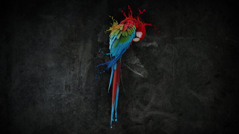 Colorful Parrot — Red, Dramatic, Digital Art, Paint Splatter, Dark Wall