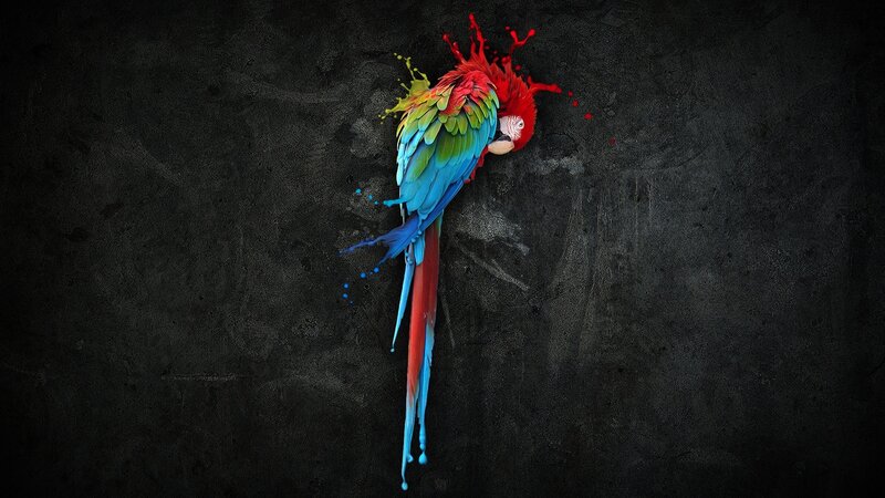 Colorful Parrot — Red, Dramatic, Digital Art, Paint Splatter