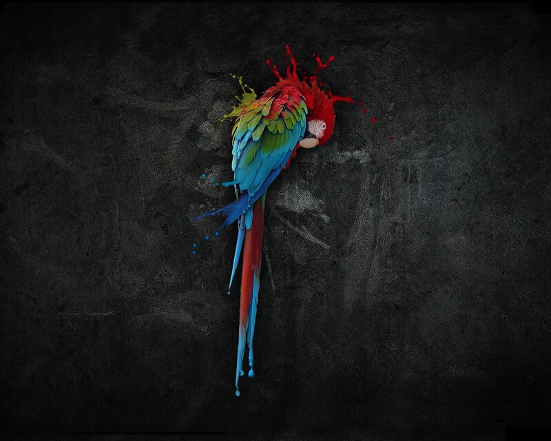 Colorful Parrot — Red