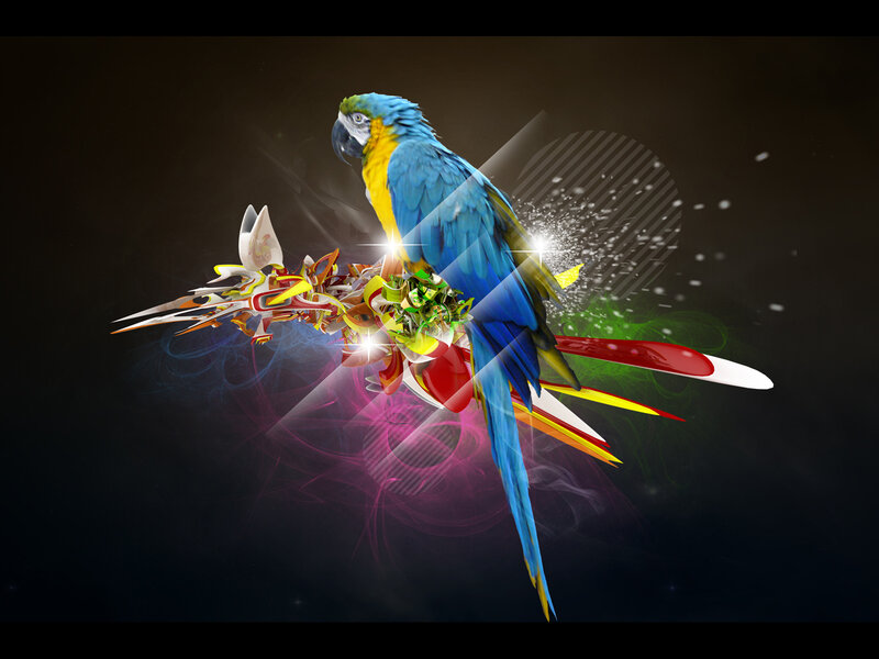 Colorful parrot with abstract art