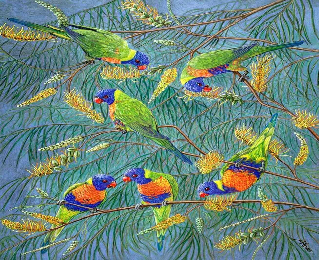 Colorful parrots in a tree