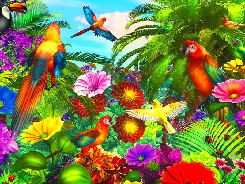 Colorful Parrots in Jungle