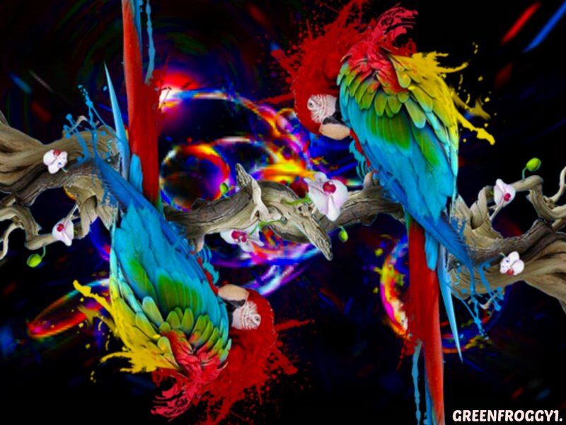 Colorful Parrots on Branch — Blue