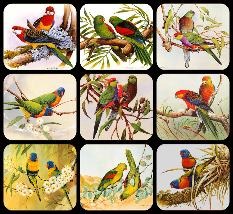 Colorful Parrots on Branches