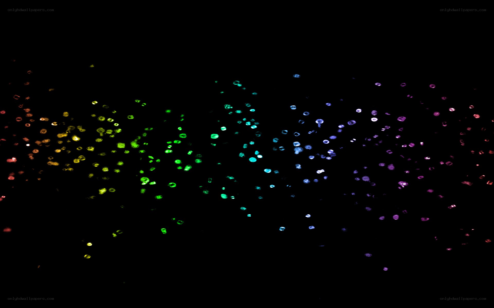 colorful particles on black