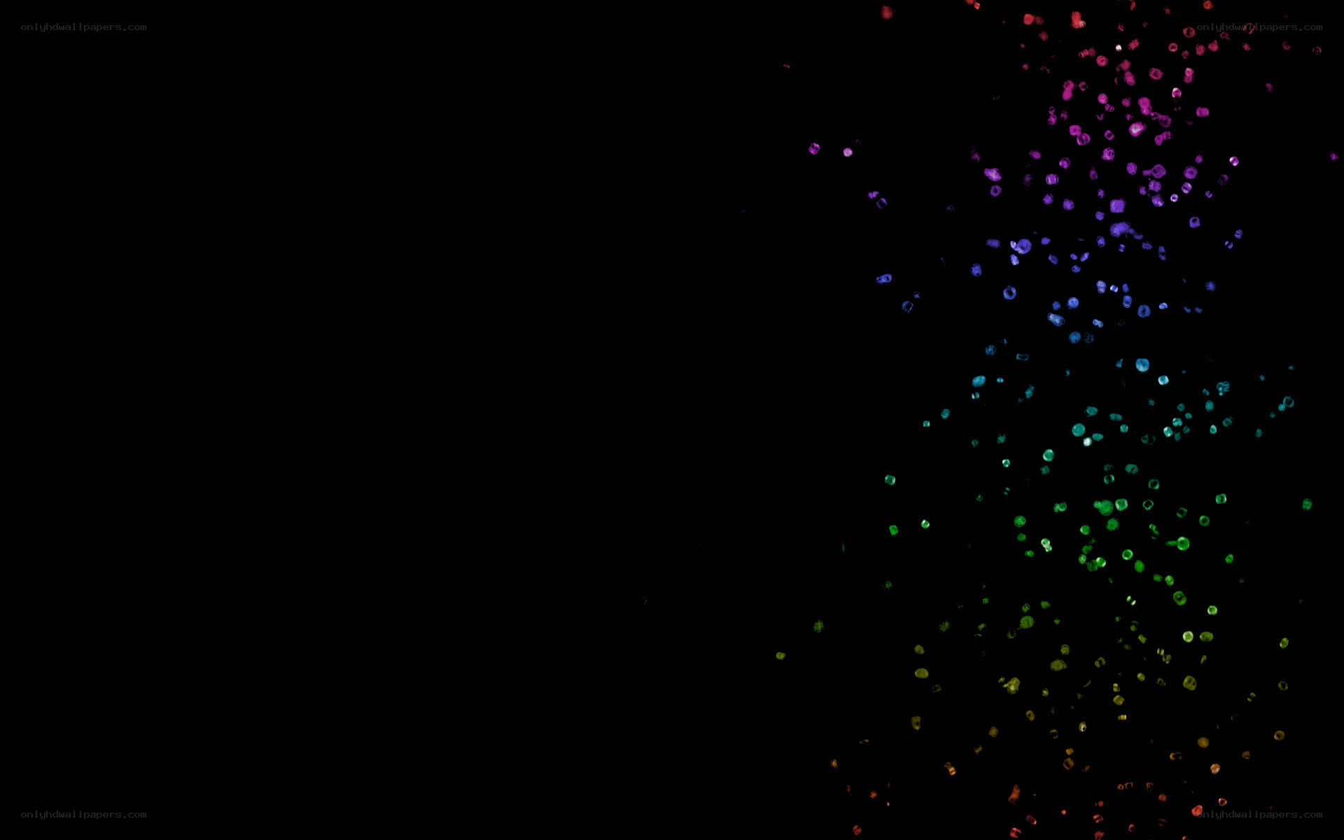 colorful particles on black