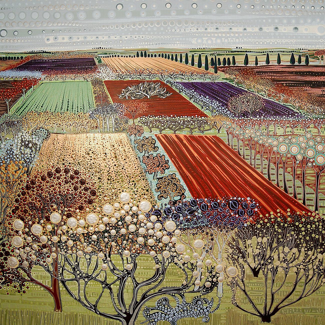 Colorful patchwork fields