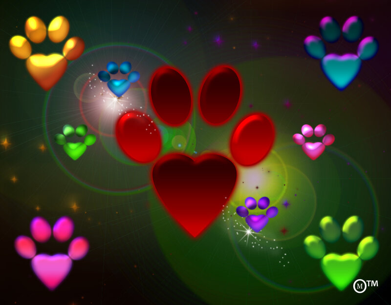 Colorful Paw Prints
