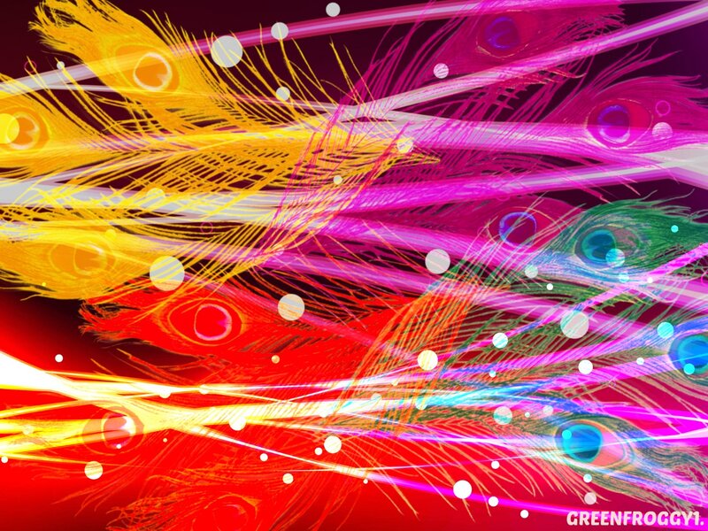 Colorful Peacock Feathers — Red