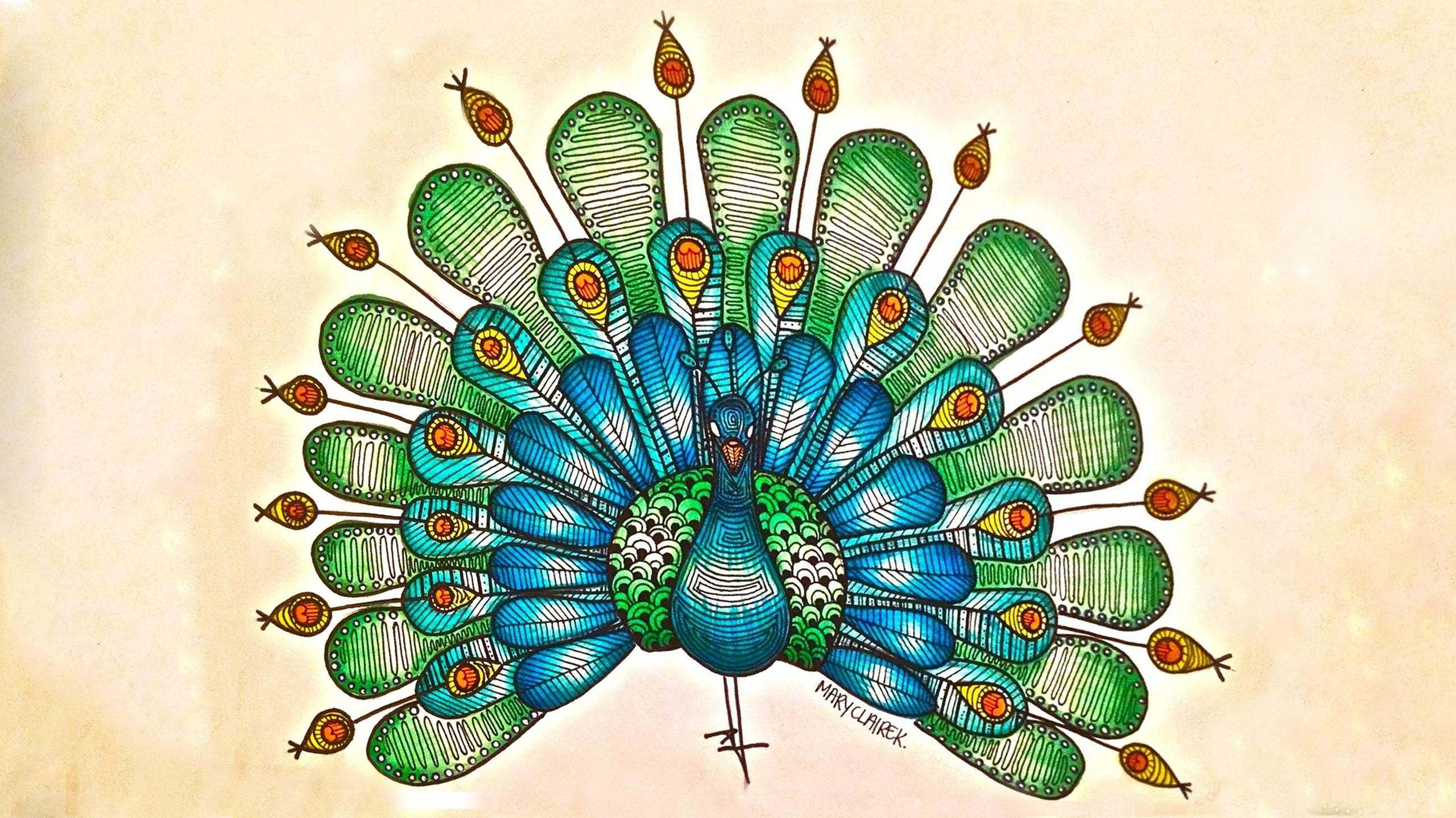 colorful peacock illustration