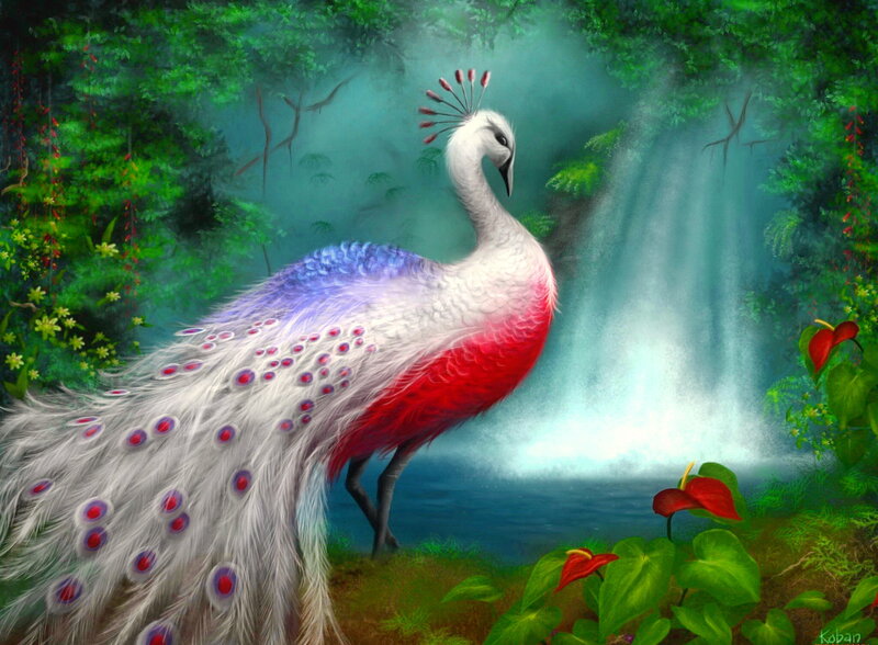 Colorful Peacock in Forest