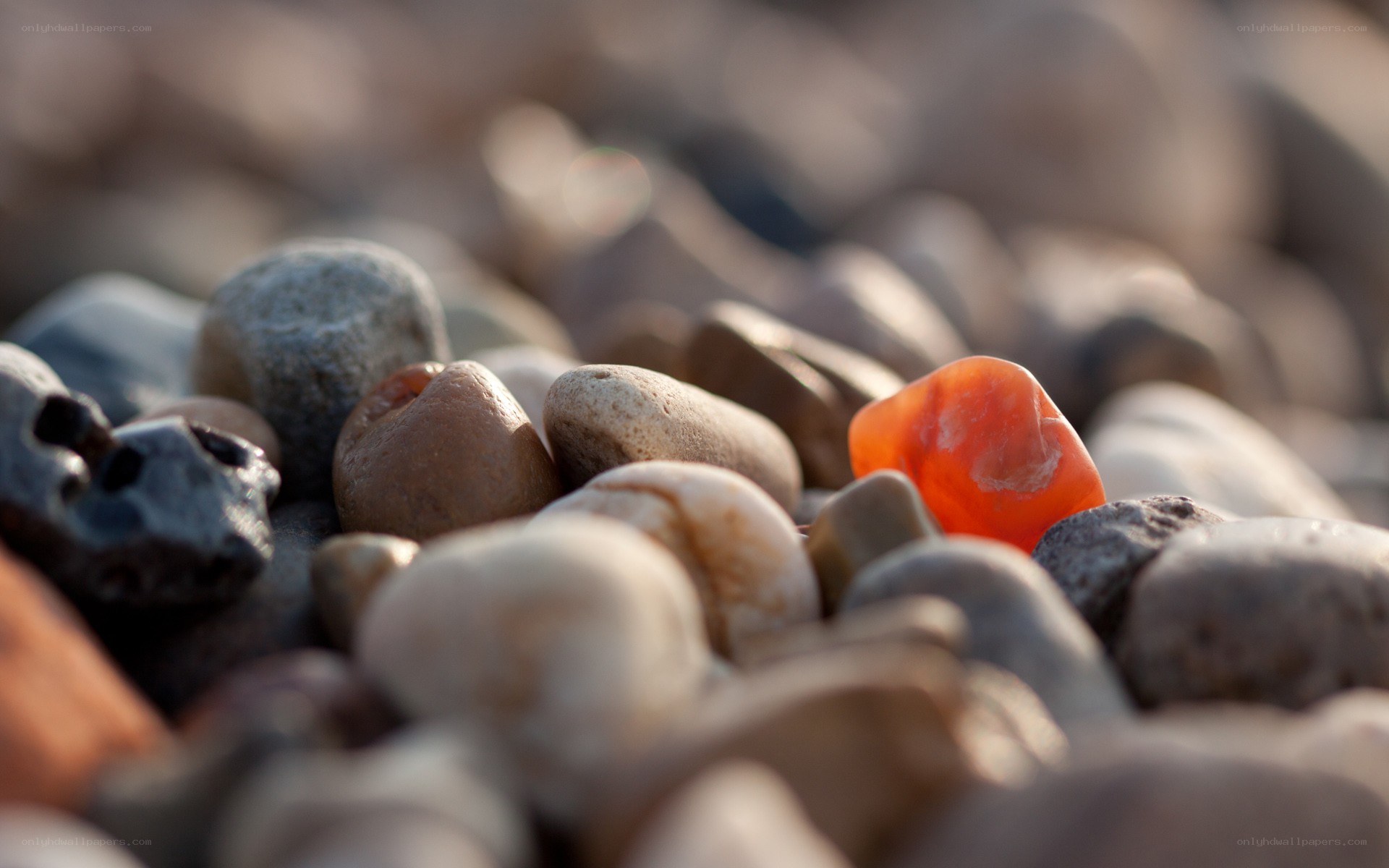 Colorful pebbles on a beach