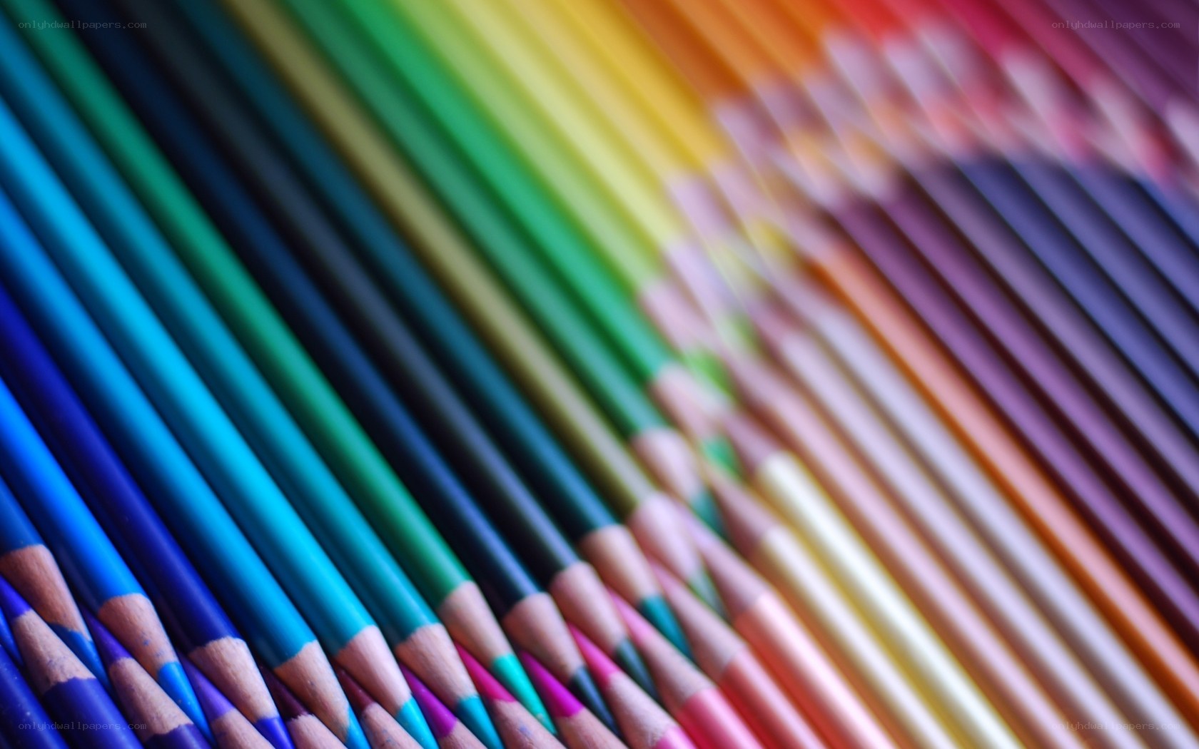 Colorful pencil collection