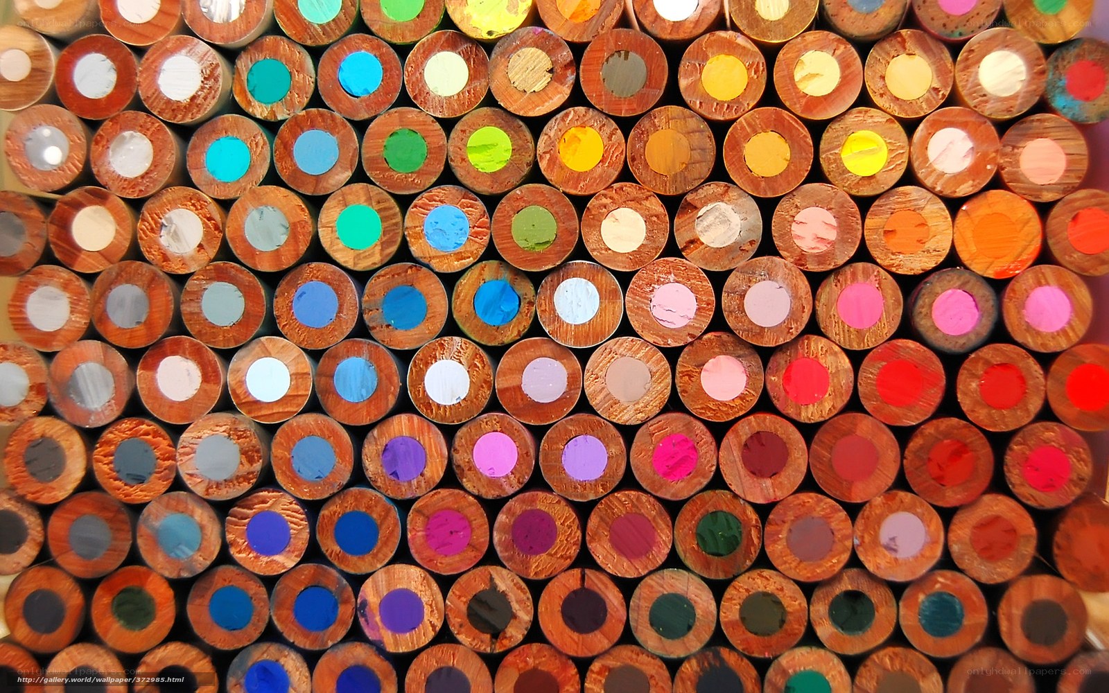 Colorful pencil tips
