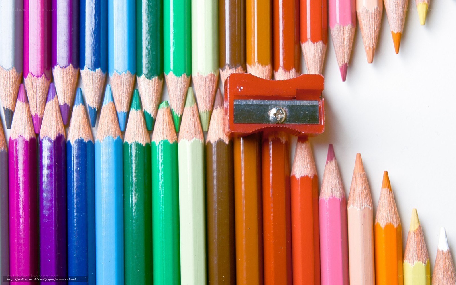 Colorful pencils and sharpener