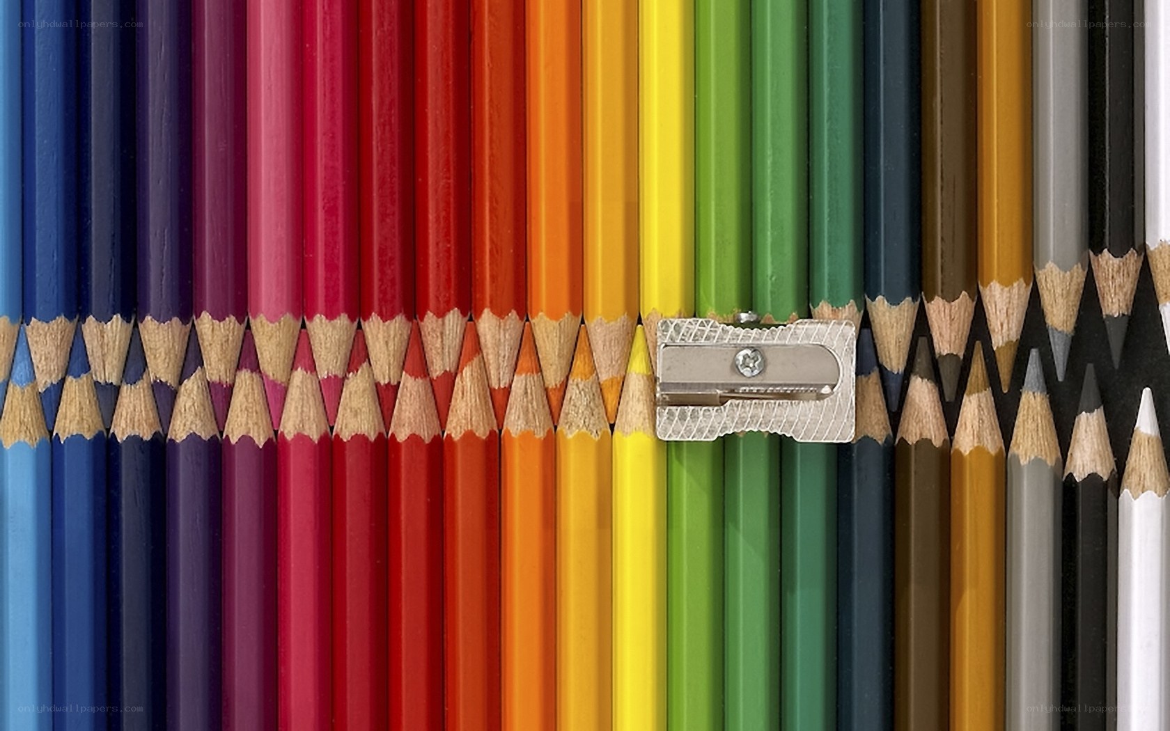 Colorful pencils and sharpener