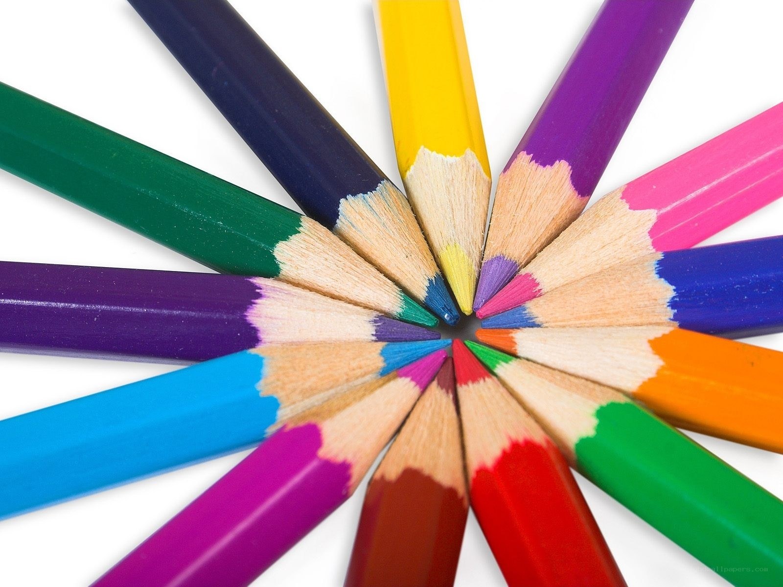Colorful pencils arranged in a circle