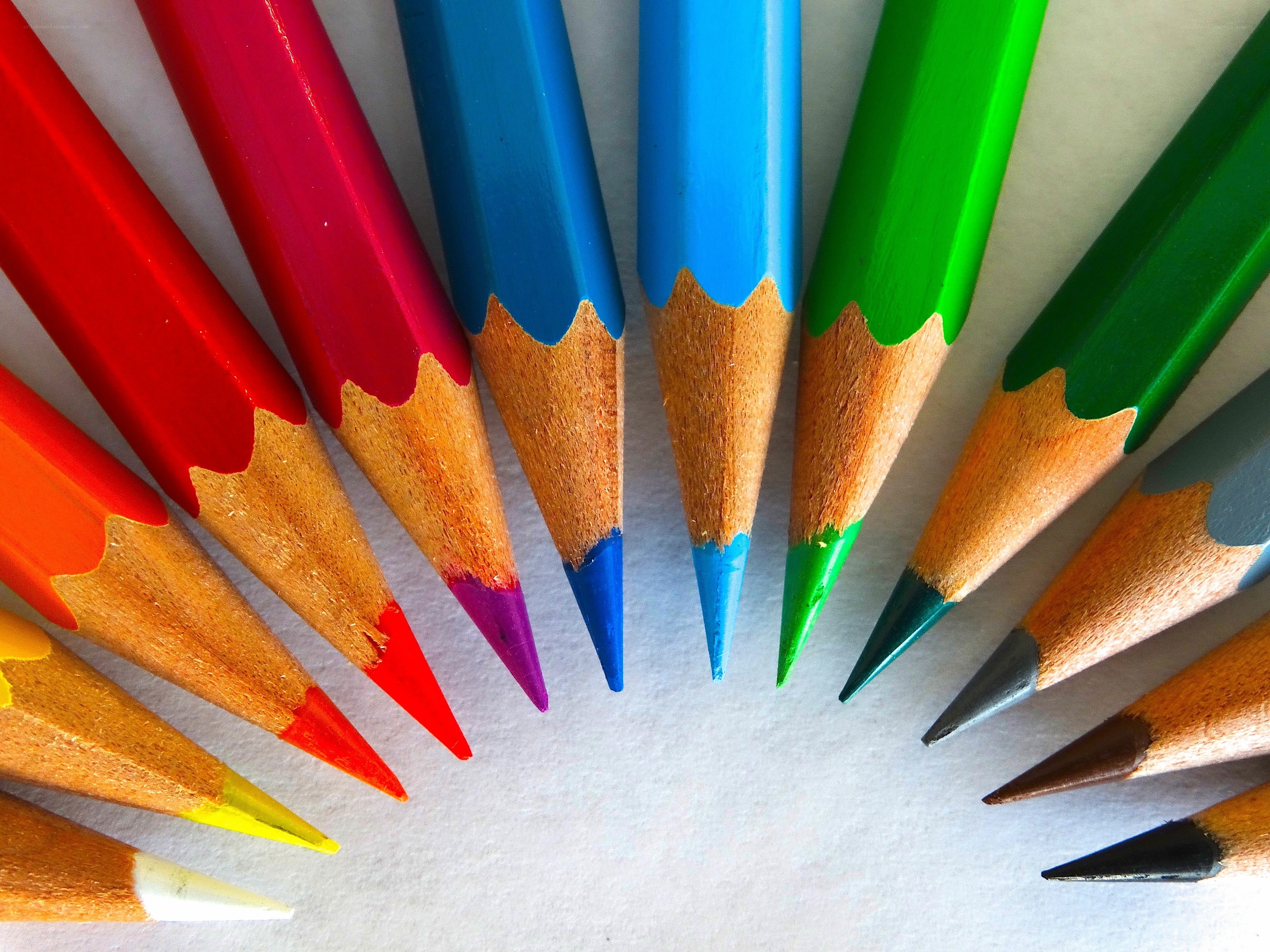 Colorful pencils arranged in a fan