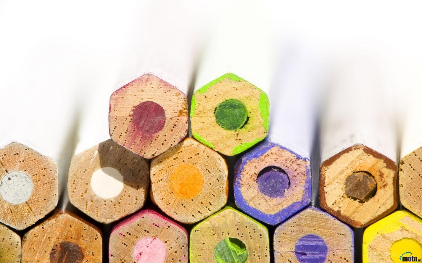 colorful pencils close-up