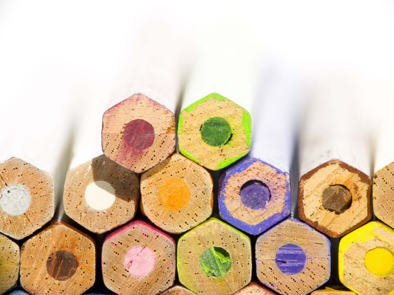 Colorful pencils close-up