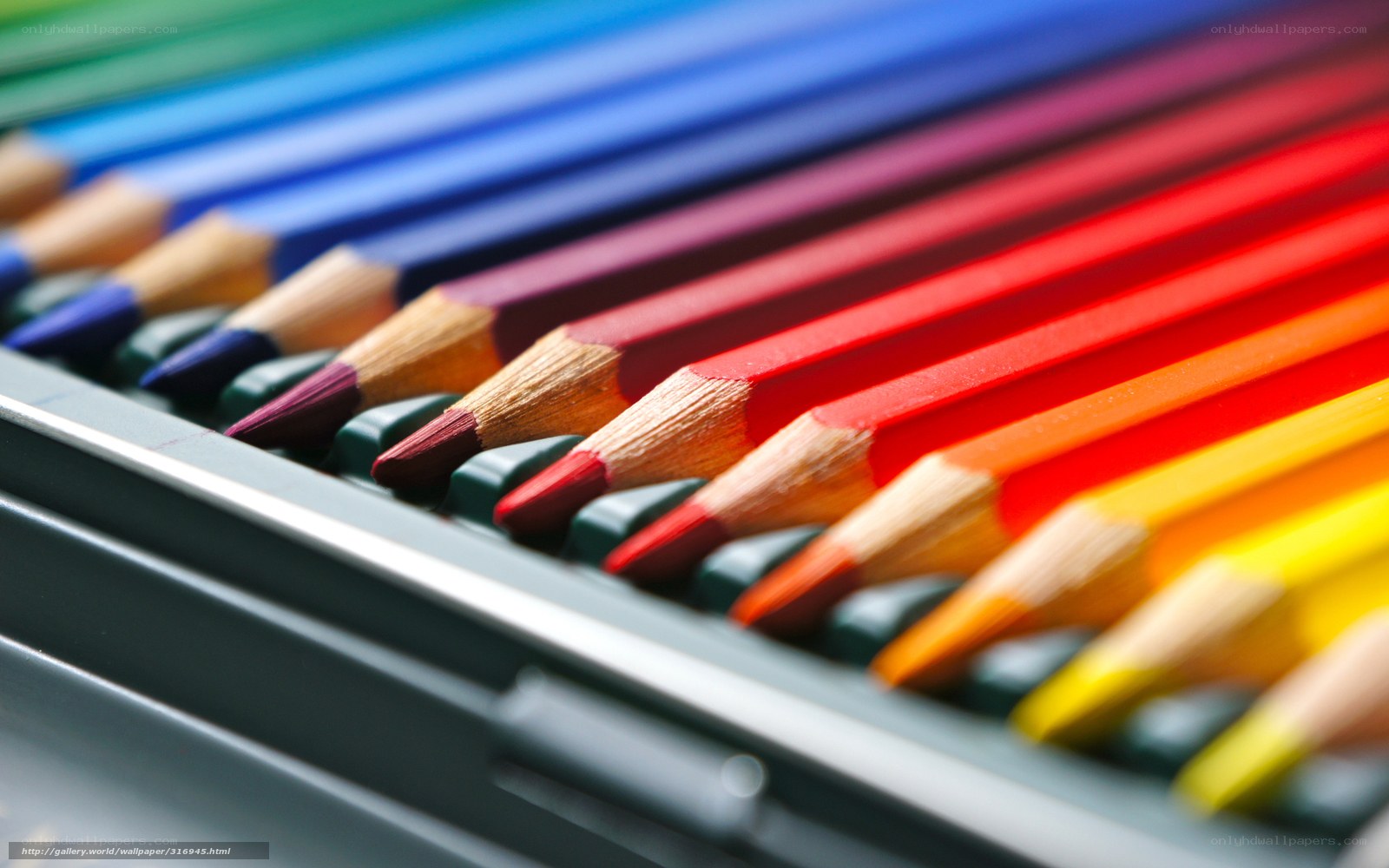 Colorful pencils in a case