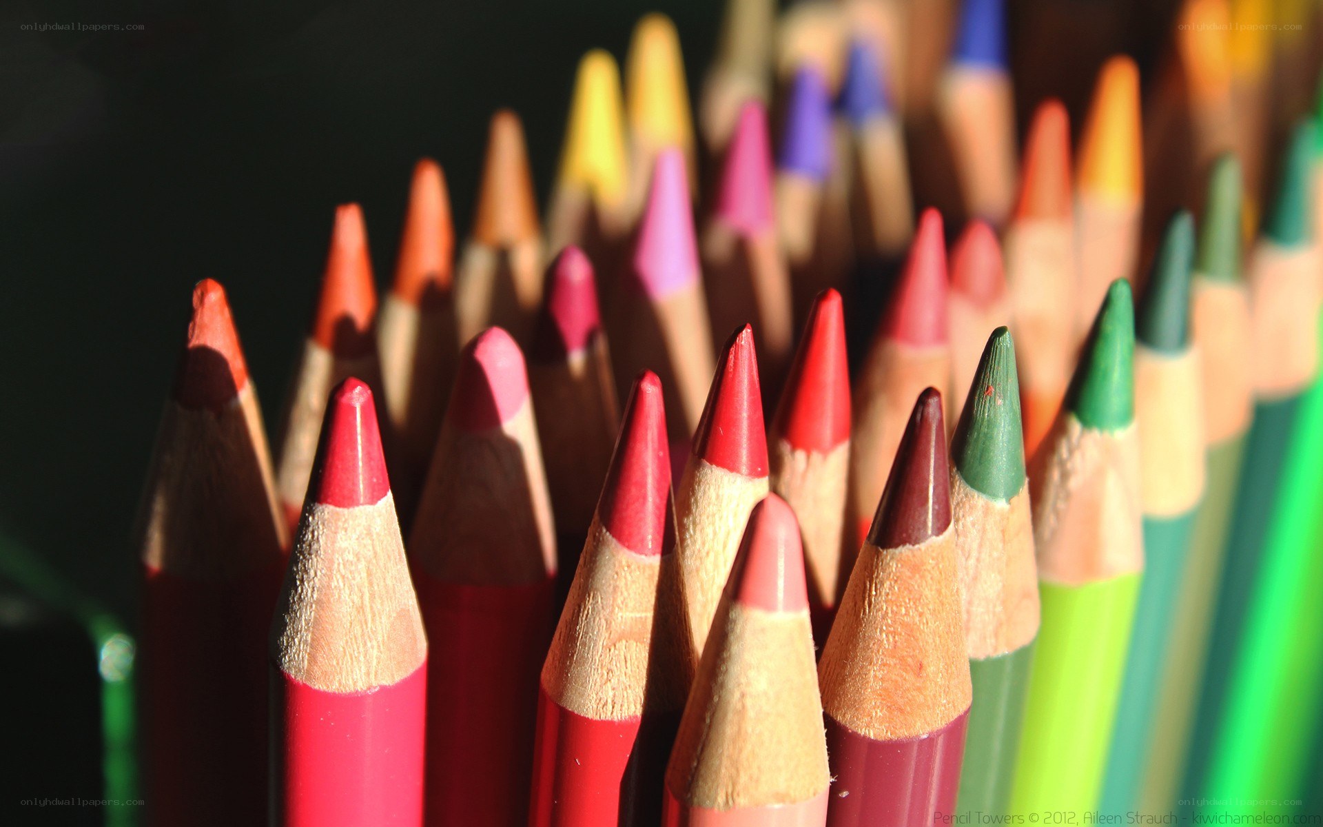 Colorful pencils in a container