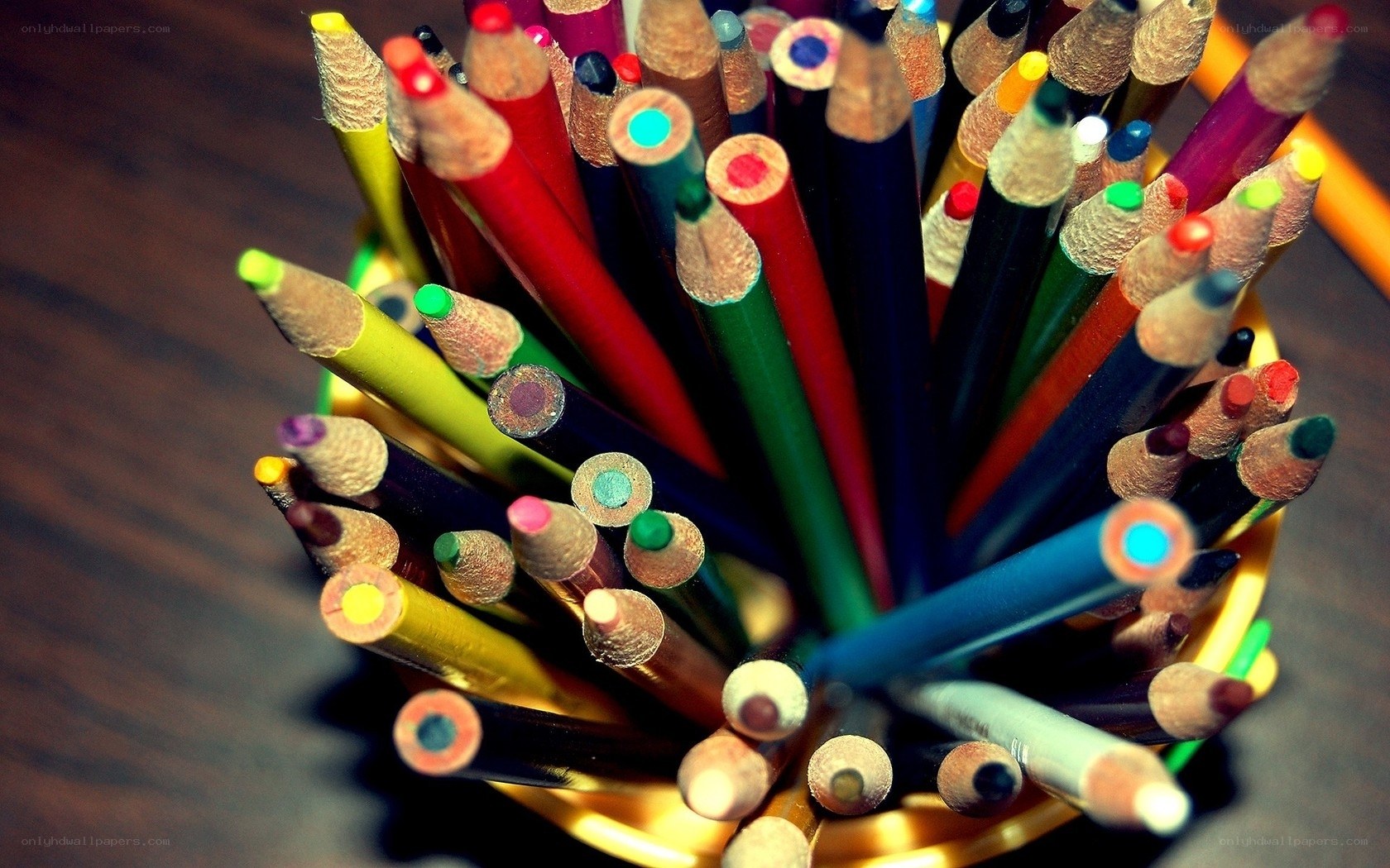Colorful pencils in a cup