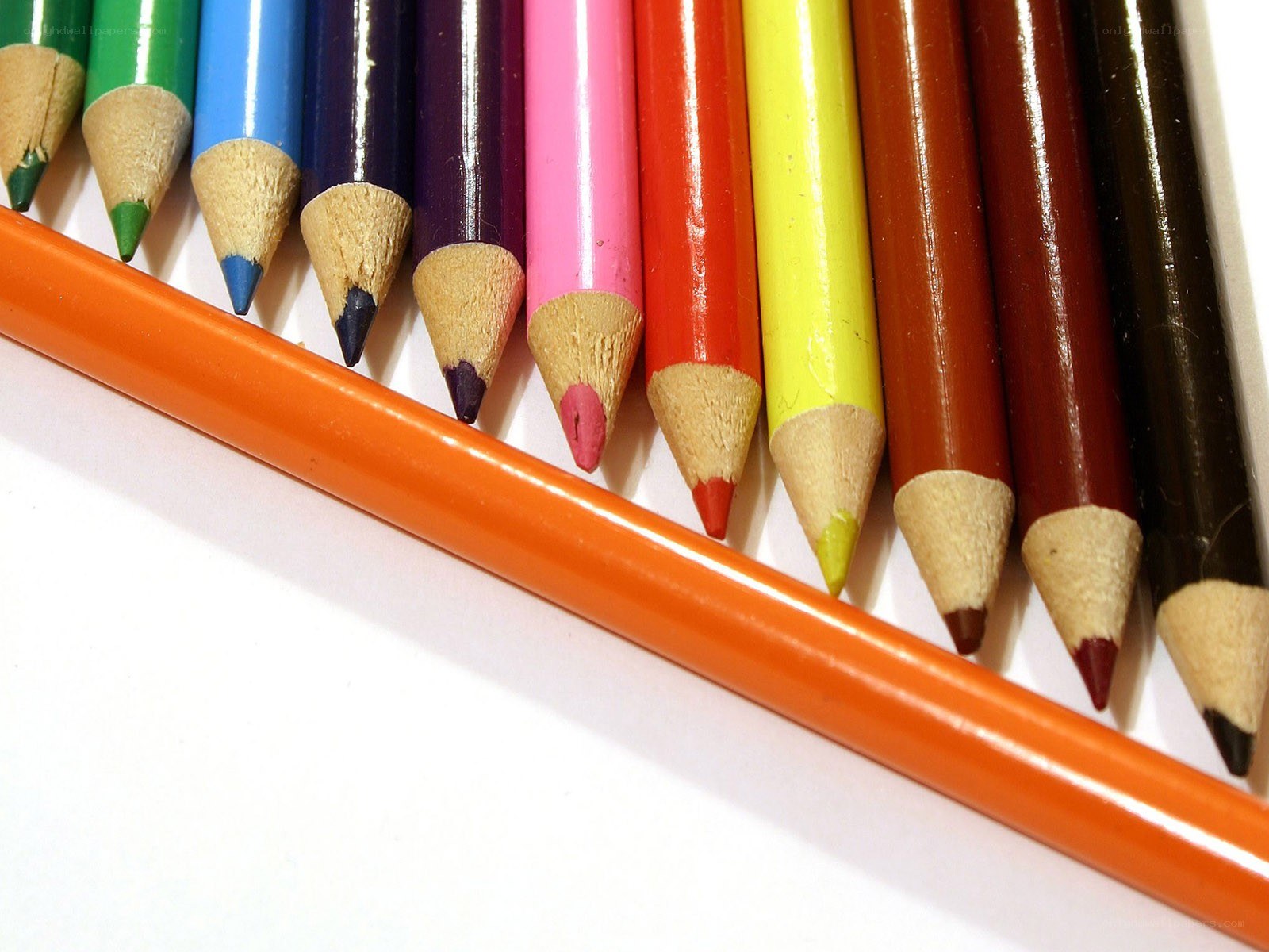 Colorful pencils in a row