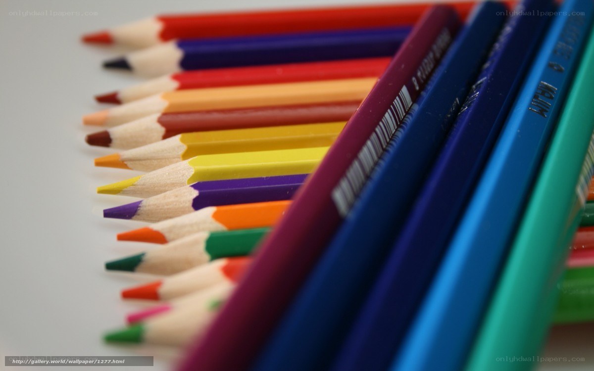 Colorful pencils in a row
