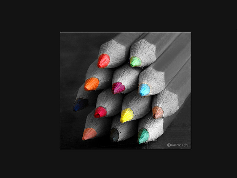 Colorful pencils in black and white
