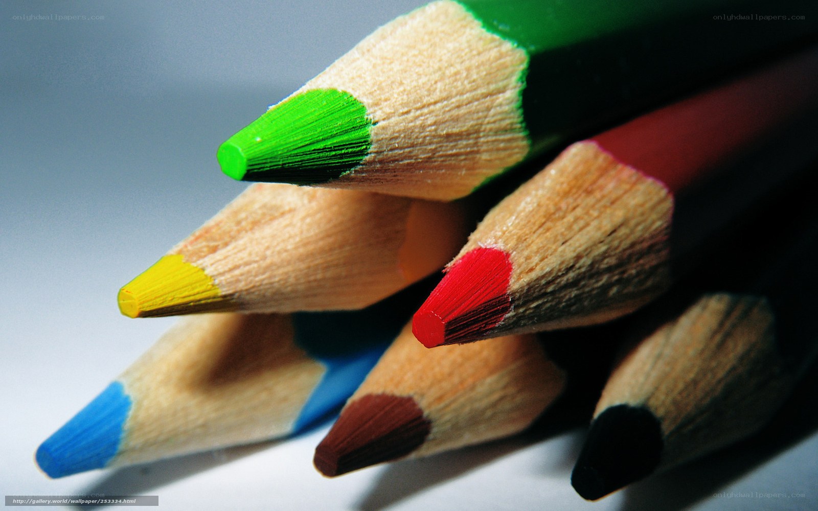Colorful pencils in close-up