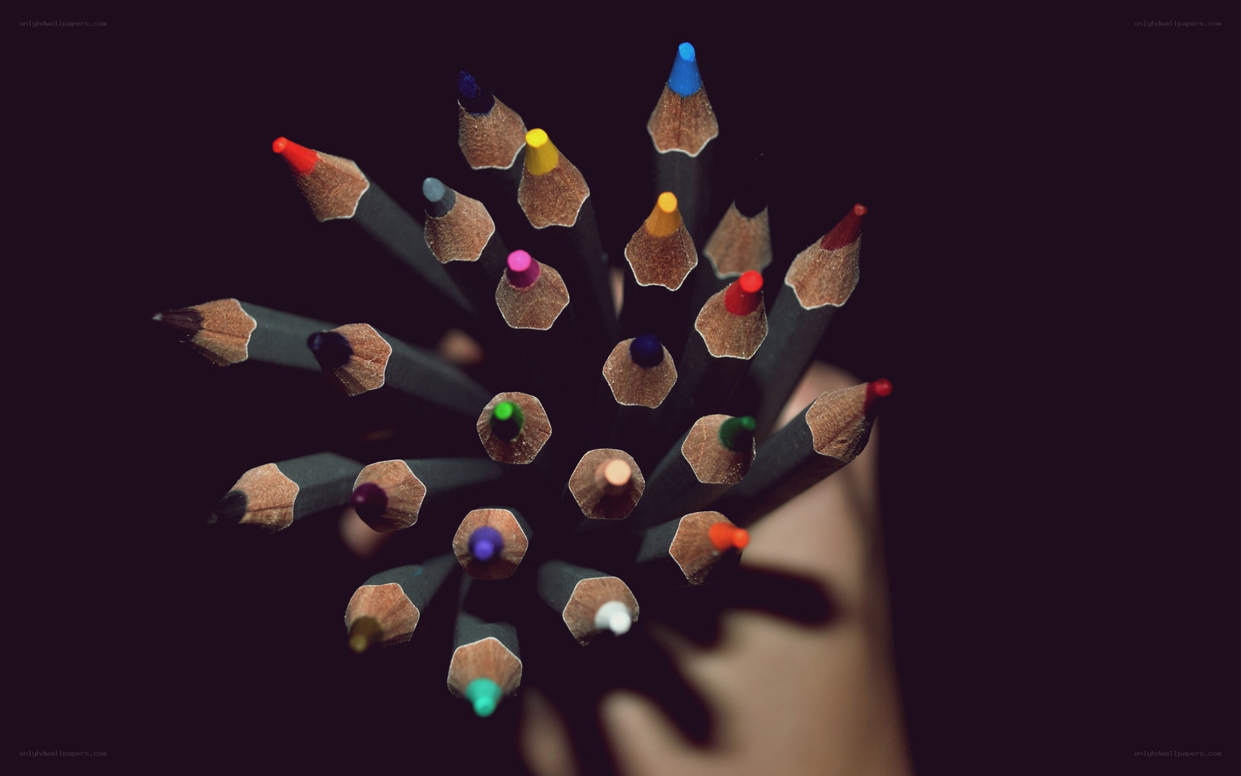 Colorful pencils in hand