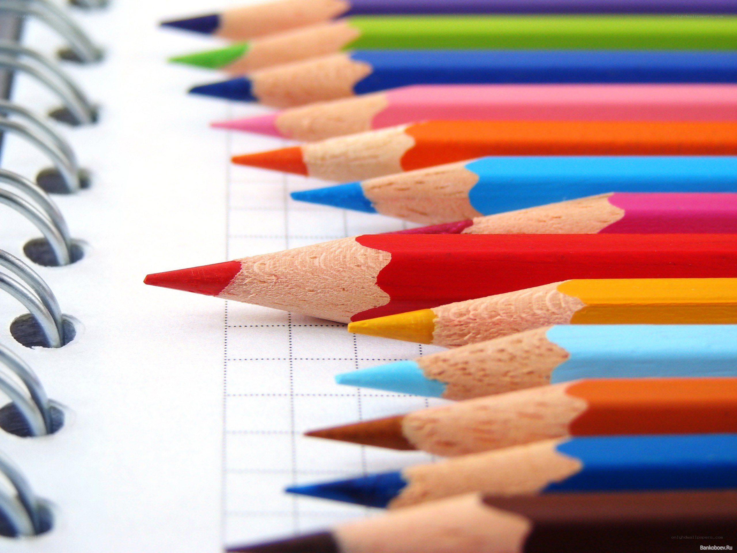 Colorful pencils on notebook paper