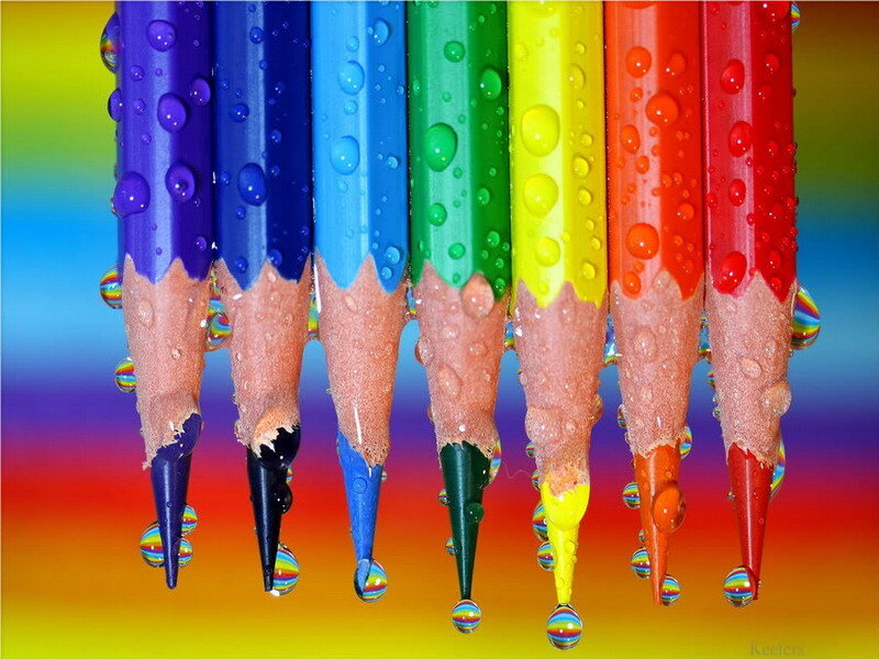 Colorful pencils with water droplets
