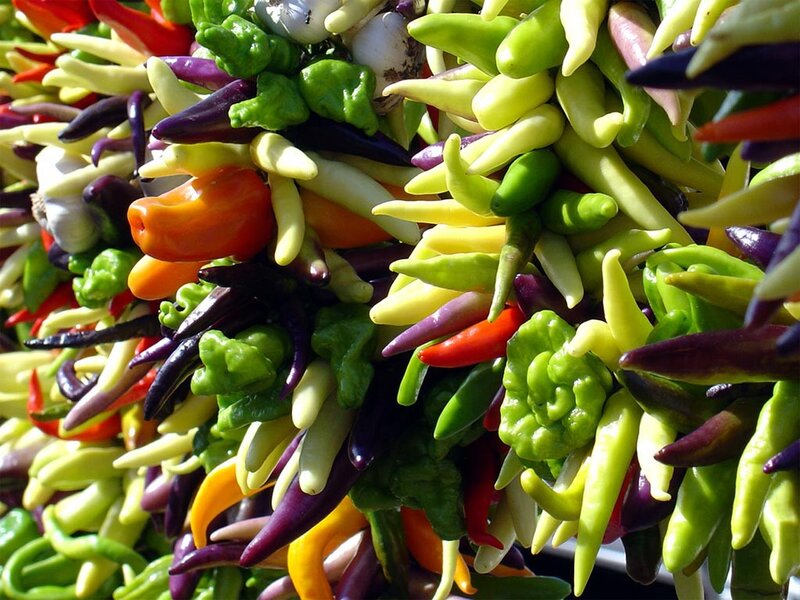 Colorful peppers and garlic display