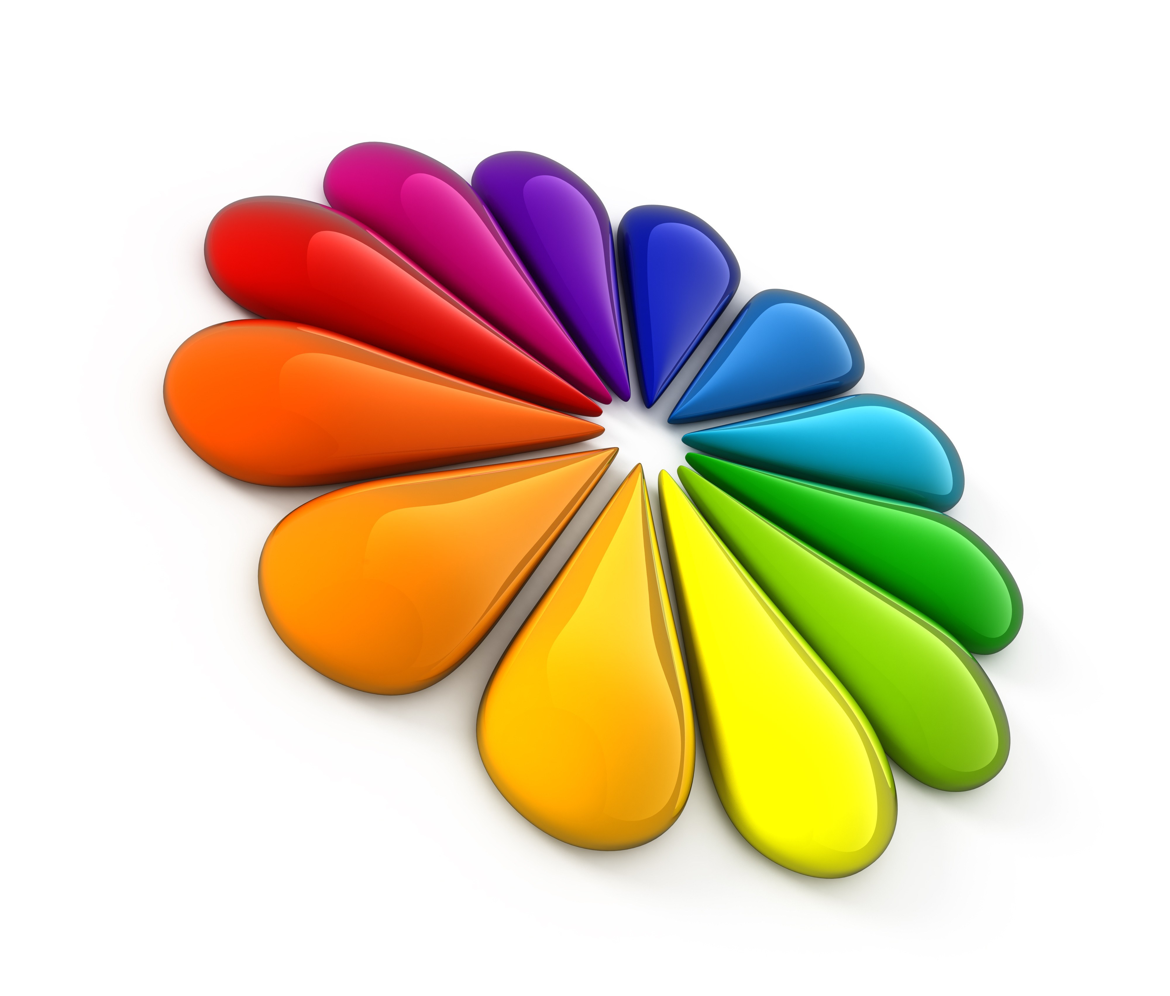 colorful petal flower
