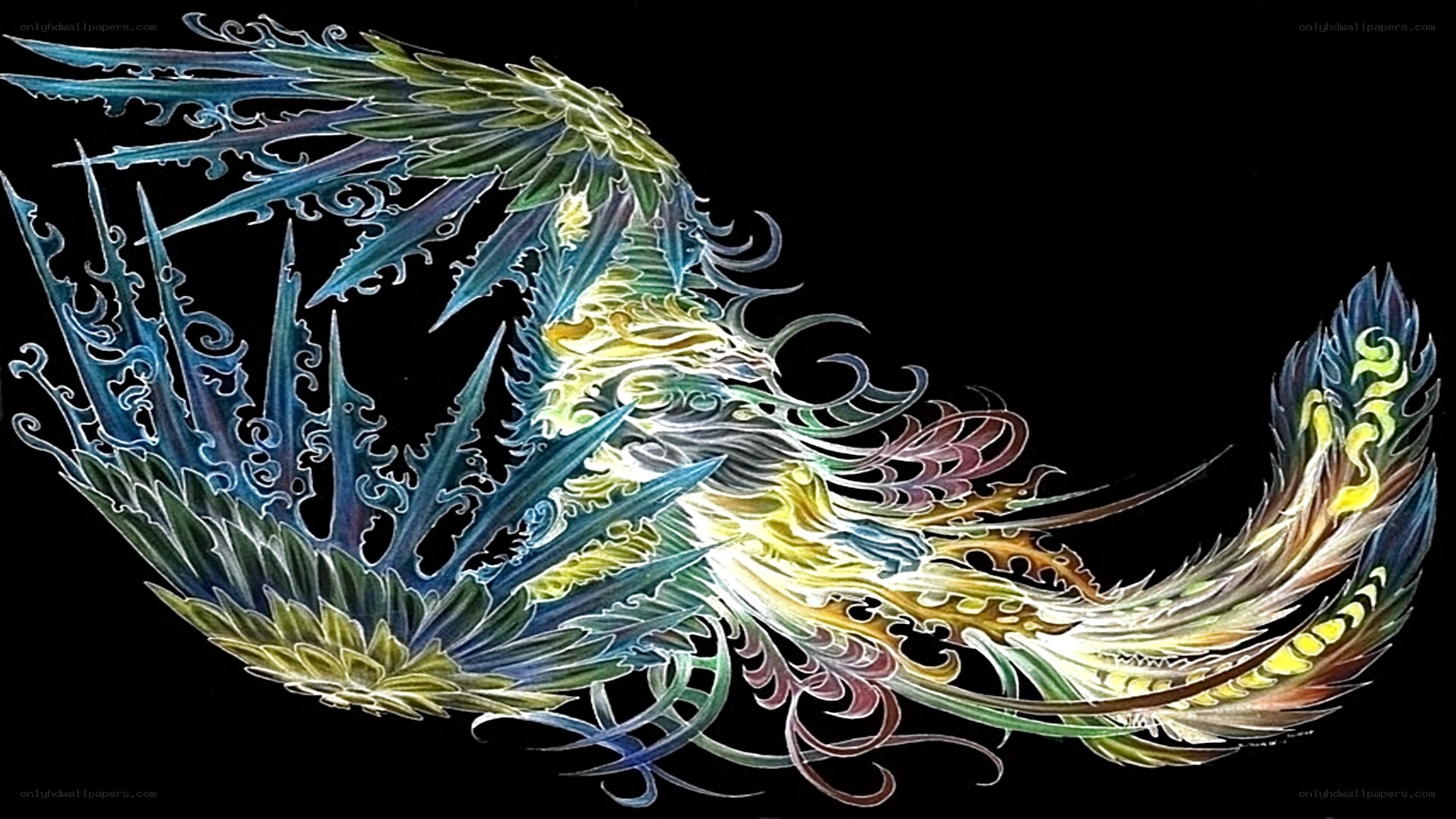 colorful phoenix illustration