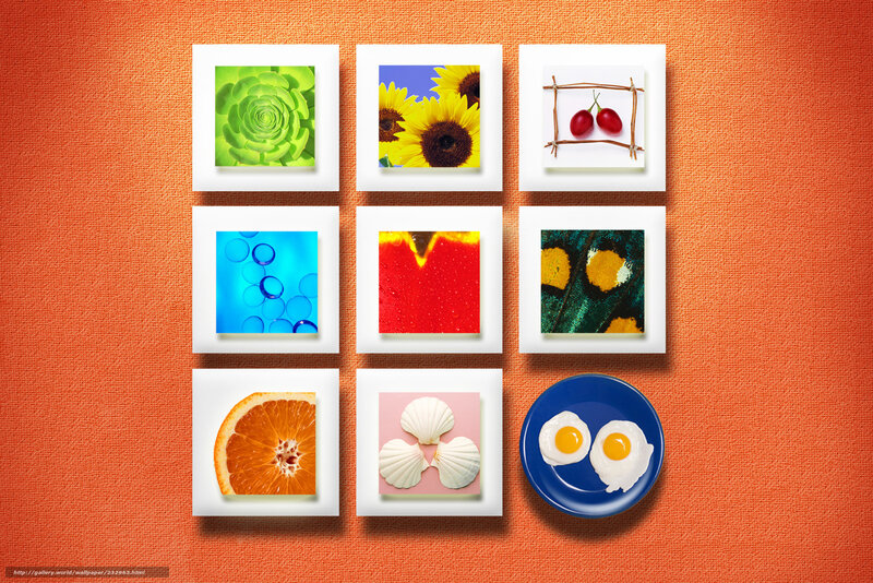 Colorful photo collage on orange wall