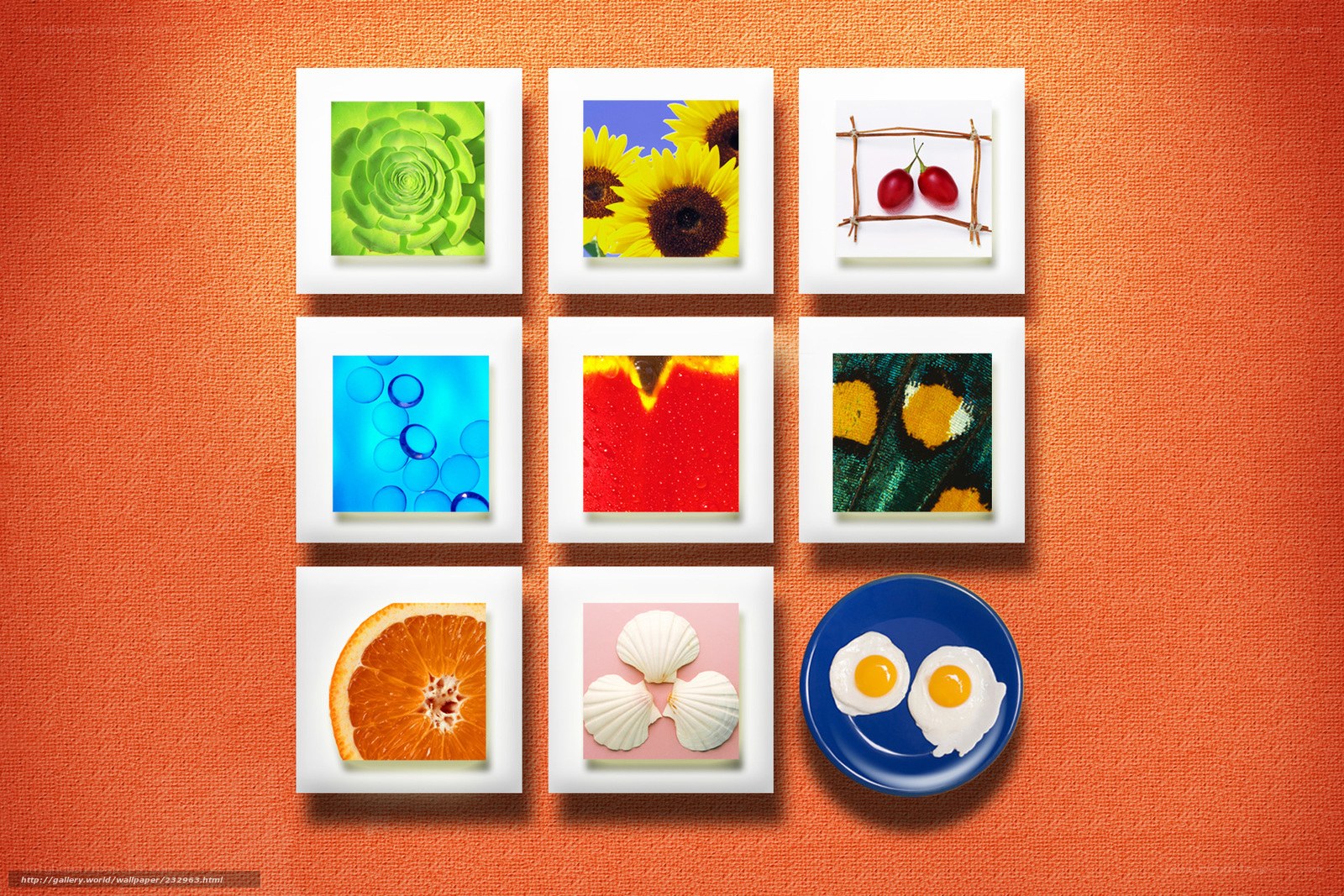 Colorful photo collage on orange wall