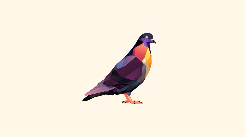 Colorful Pigeon Illustration