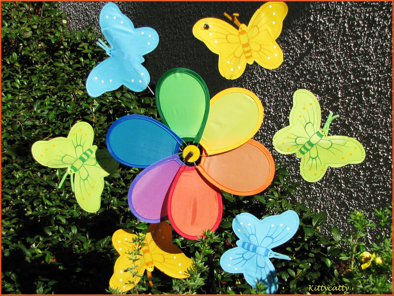 Colorful Pinwheel and Butterflies