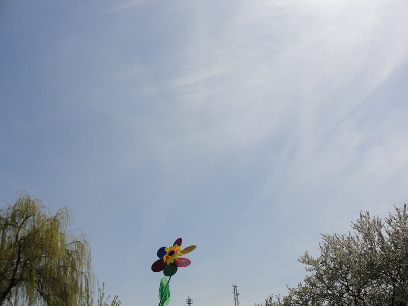 Colorful pinwheel in the sky