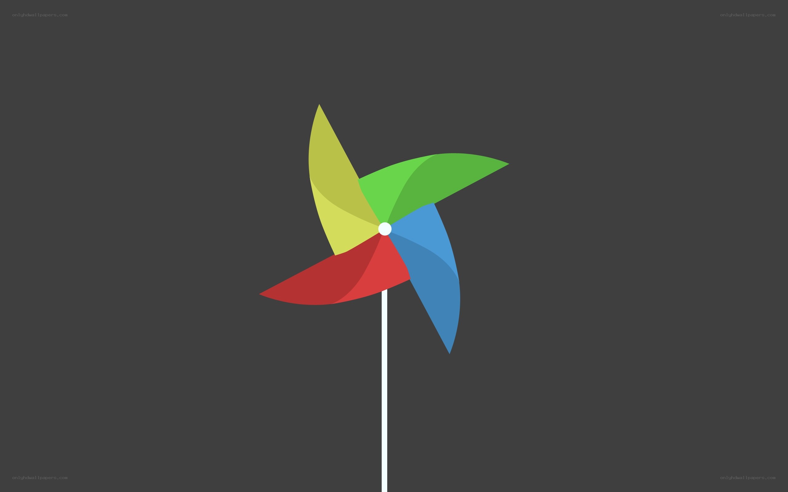 colorful pinwheel on gray