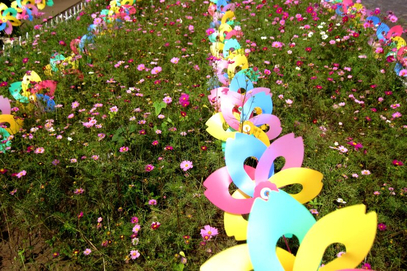 Colorful Pinwheels in Field