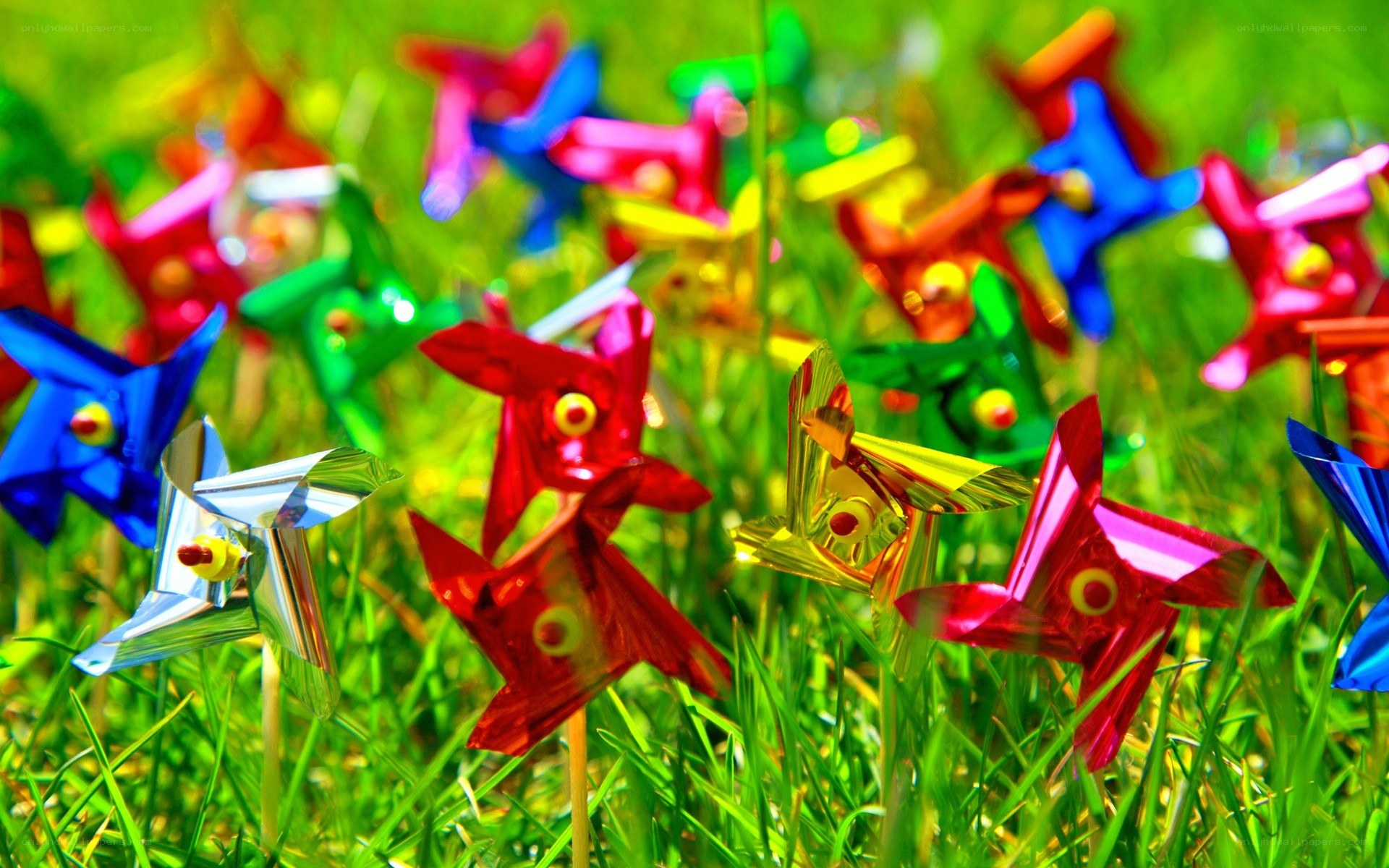 Colorful pinwheels in grass