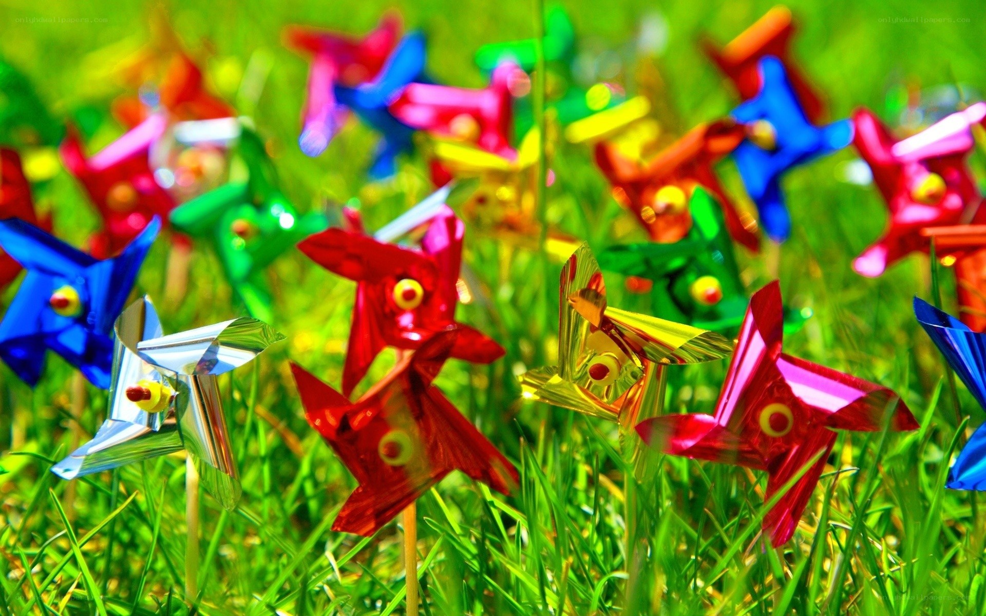 Colorful pinwheels in grass